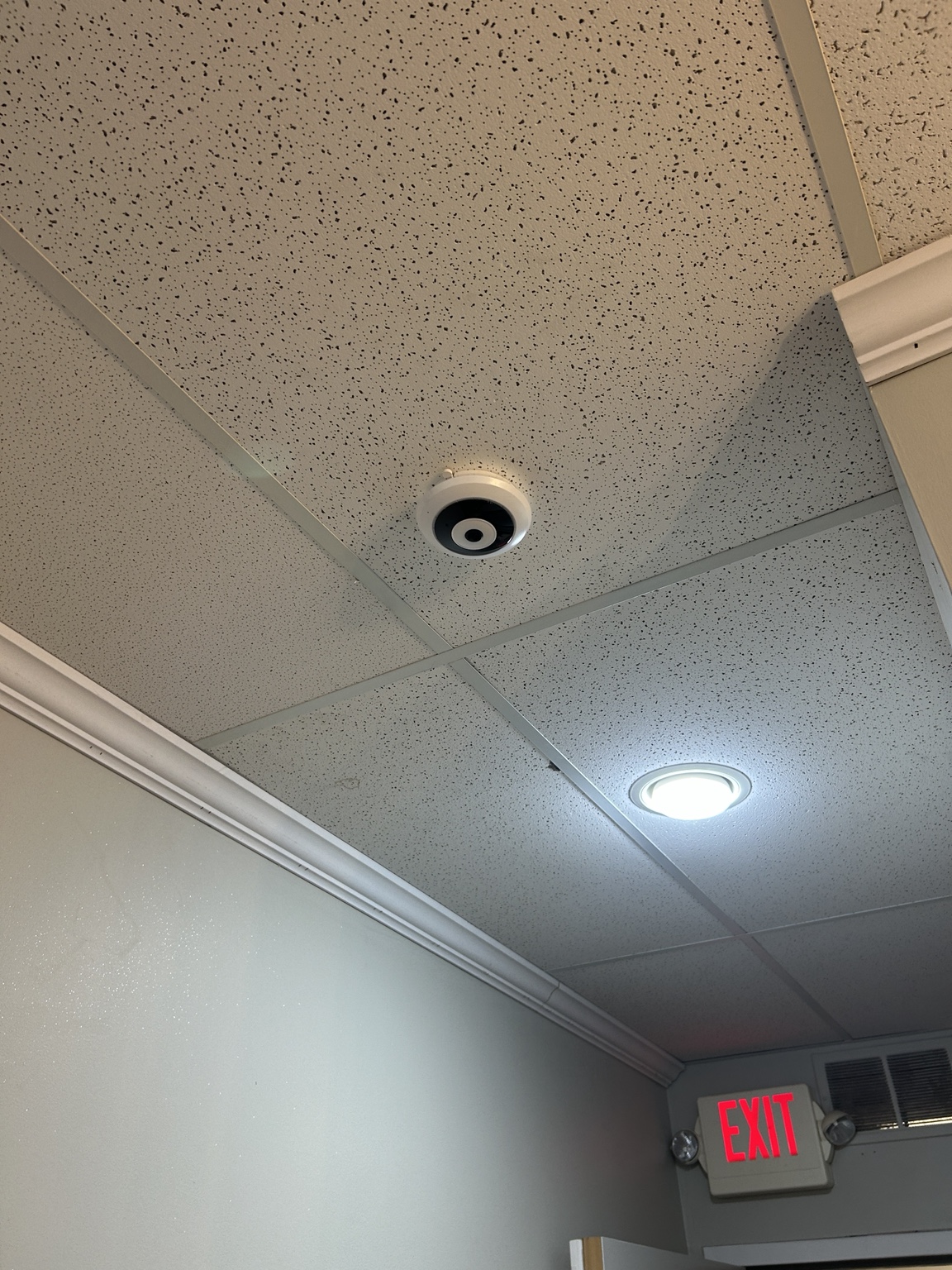 Ceiling mounted camera